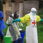 Santé la maladie à virus Ebola