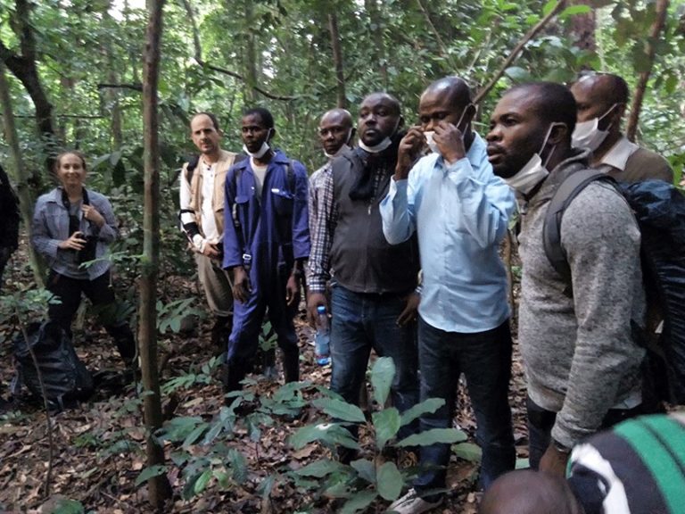 présidence de la république