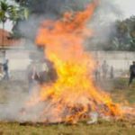Kasaï Central Du chanvre en expédition saisit à l'aéroport de Kananga incinéré