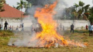 Kasaï Central Du chanvre en expédition saisit à l'aéroport de Kananga incinéré