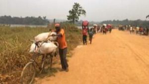 3B9A1D32 1D46 47D8 AB14 C26BA55BA8AD 300x169