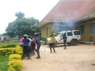 Nord Kivu 10 militants lucha