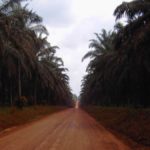 Actualité-sans-route-de-desserte