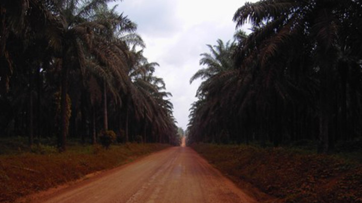 Actualité-sans-route-de-desserte
