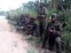 Beni: Les FARDC ont repoussé une nouvelle attaque des ADF à Kitshanga