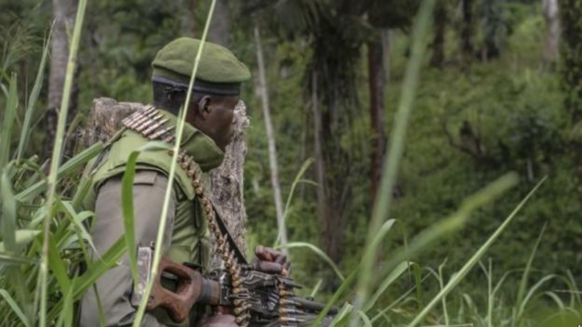 Beni : les FARDC libèrent 38 civils jadis kidnappés par les ADF