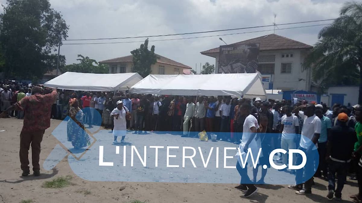 Militants UDPS Combattants