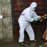 EBOLA à beni