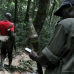 NORD kivu un colonel Nyatura depose les armes auprès de la monusco