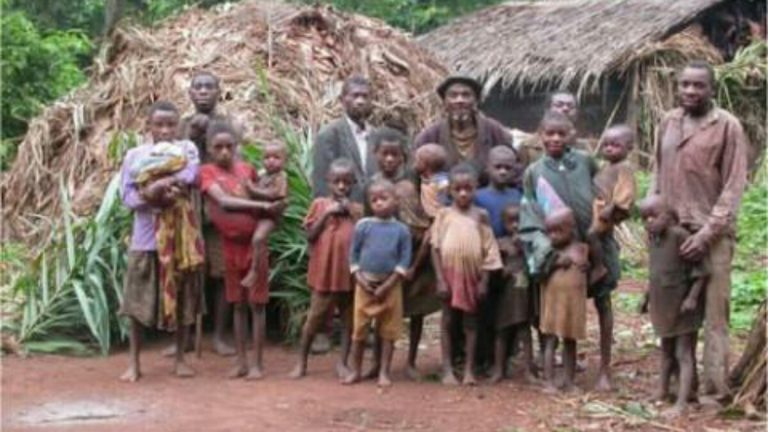 Pygmées tueries à beni