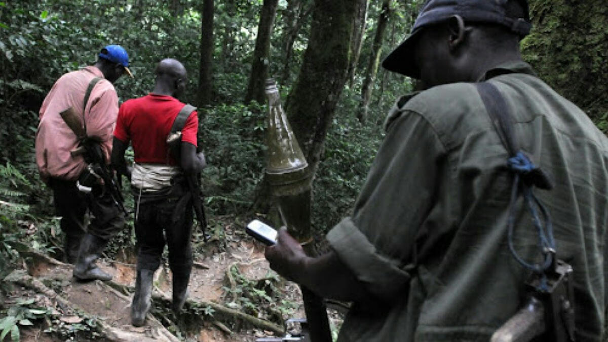 Nord-Kivu/Walikale : le village Pinga ciblé d’affrontements entre les groupes rebelles Ndc-Renové et Guidon