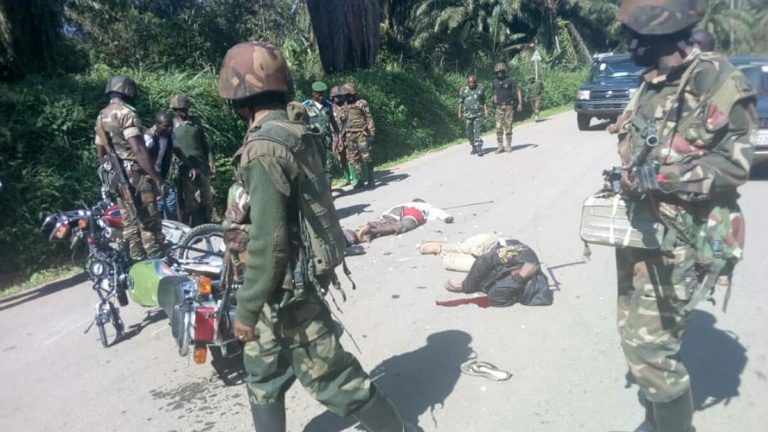 Beni 3 morts dans une embuscade des ADF