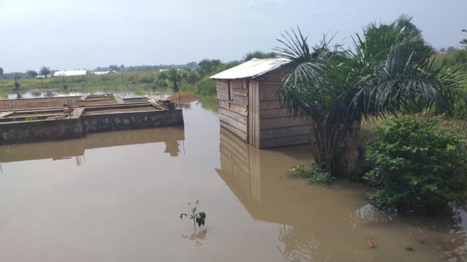 Zongo Inondation Zongo Inondation