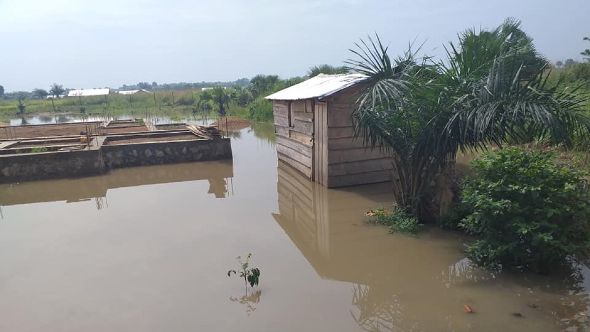 Zongo Inondation