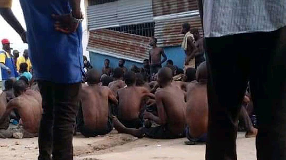 16BA52D3 0E41 4CF6 844A 7D802D069E8C