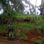 Sud-Kivu : de violents affrontements entre les FARDC et les rebelles Nyatura, signalés dans le Kalehe