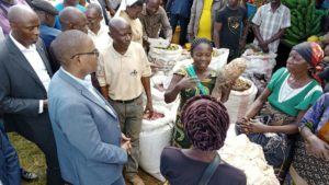 Les activités des 12emes journées champêtres dans la province du Sud-Kivu