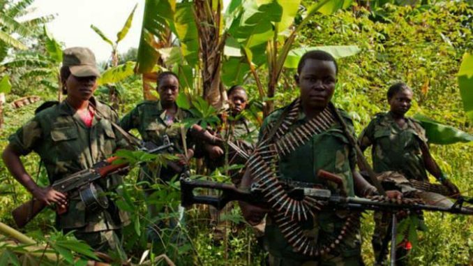 Nord-Kivu La milice NDCRénové