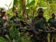 Nord-Kivu La milice NDCRénové