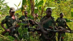 Nord-Kivu La milice NDCRénové