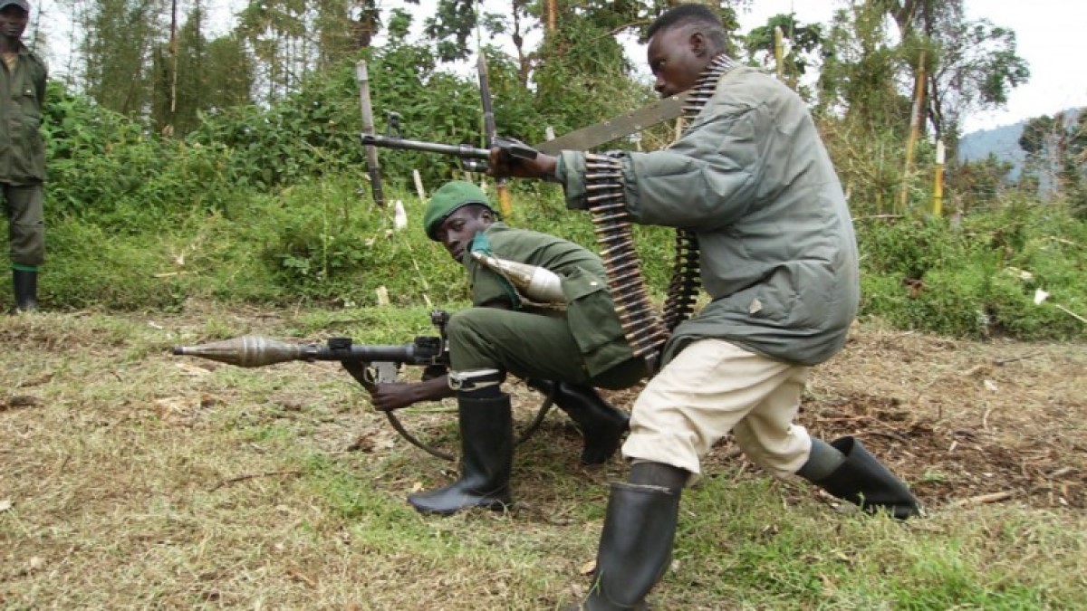 Les rebelles des forces démocratiques pour la libération du Rwanda 