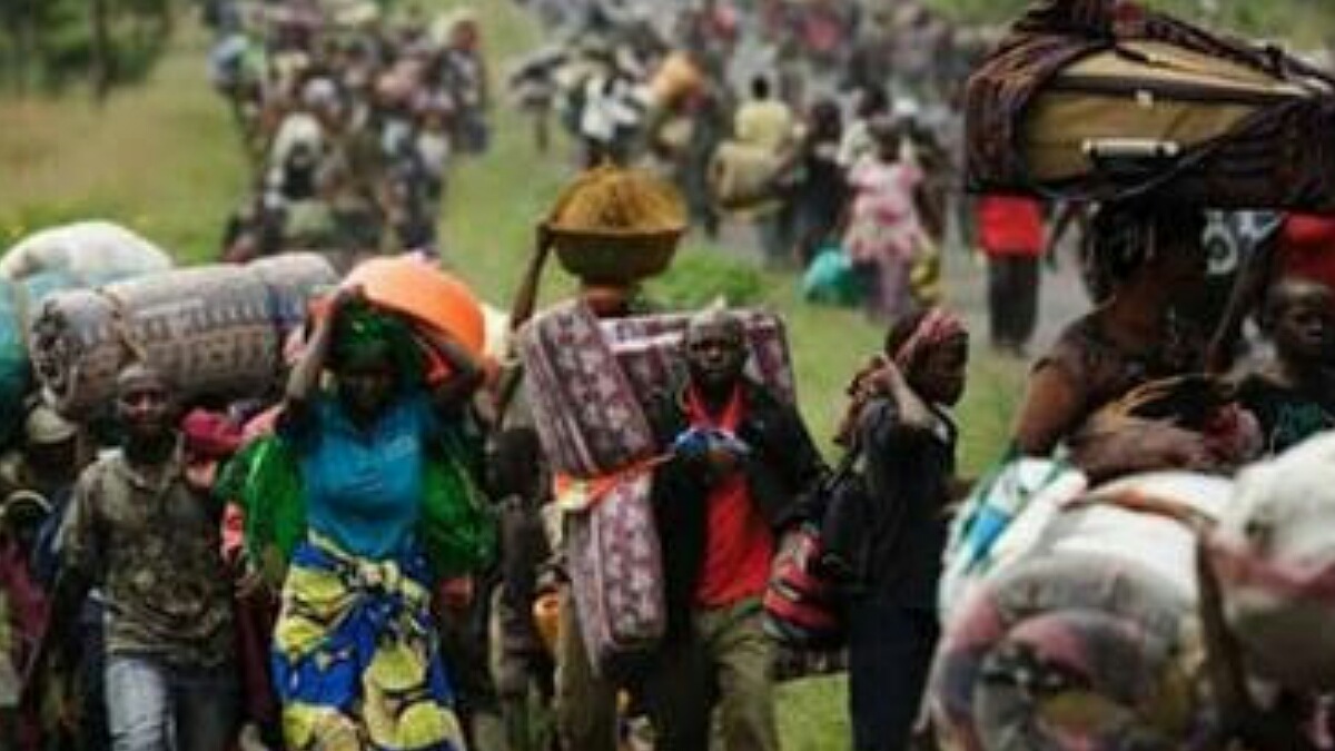 Sud-Kivu plus de 3 000 déplacés vivent dans des conditions précaires à Kalehe