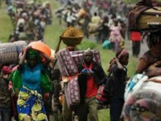 Sud-Kivu plus de 3 000 déplacés vivent dans des conditions précaires à Kalehe