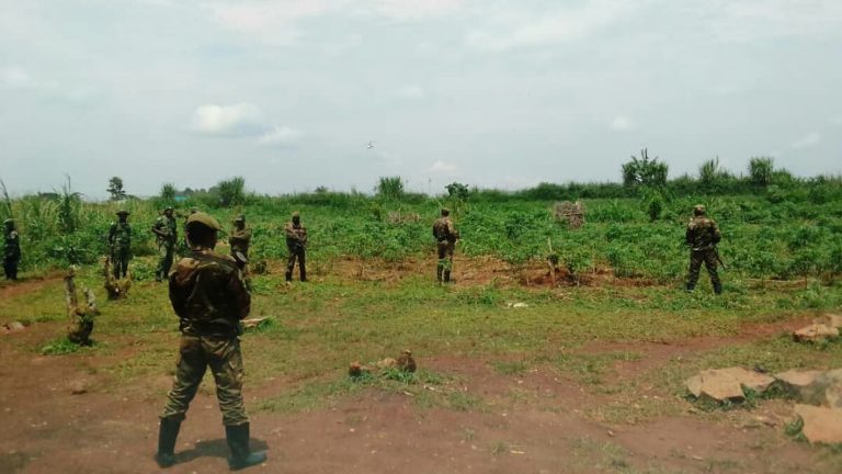 Beni la jeunesse alerte sur une nouvelle menace des ADF
