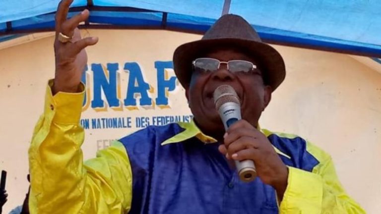 Gabriel Kyungu Wa Kumwanza UNAFEC