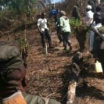 Ituri Mambasa plus de 85 civils tués par des ADF