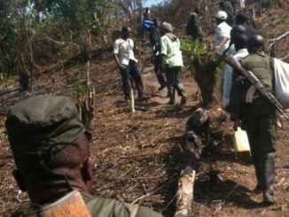 Ituri Mambasa plus de 85 civils tués par des ADF