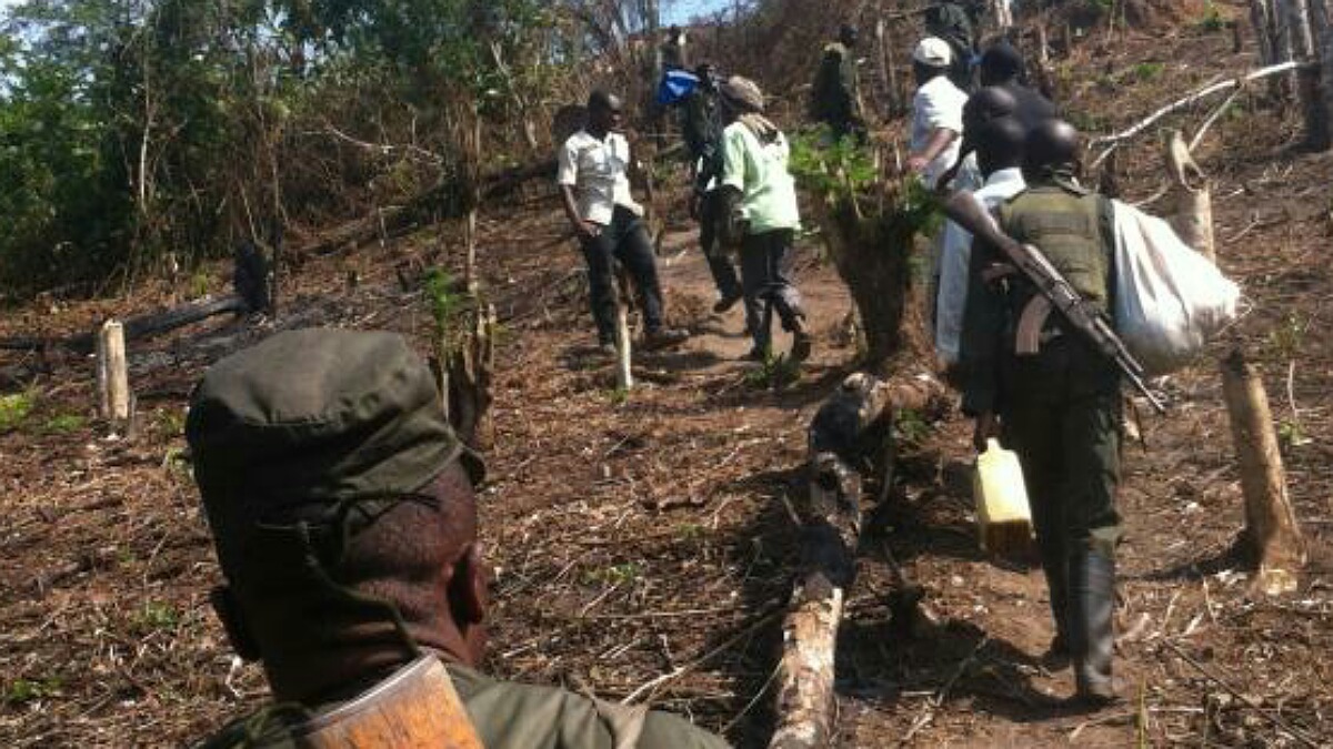 Ituri Mambasa plus de 85 civils tués par des ADF