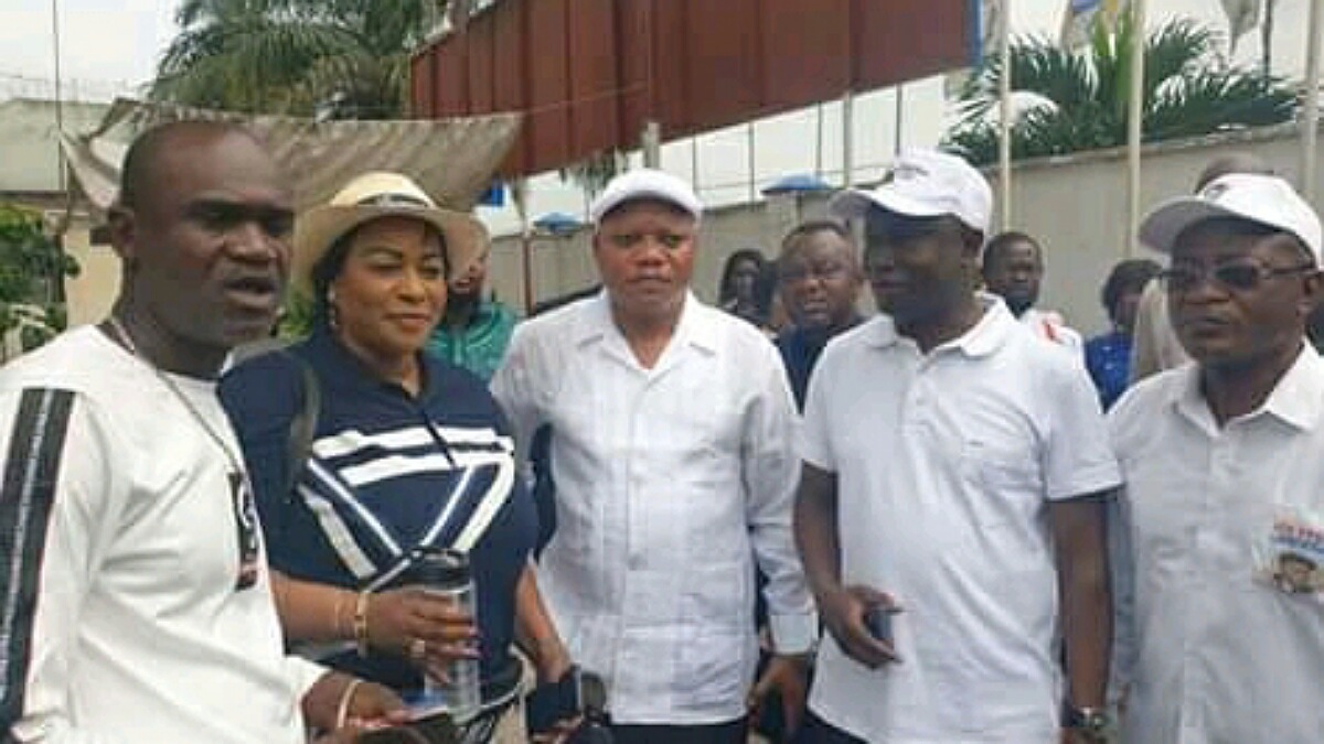 Les députés et cadres de l'UDPS visitent les travaux en cours de sauts de moutons