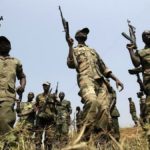 groupe de bandits armés dans le parc national de Virunga