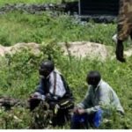 6 civils s'échappent des mains de présumés ADF