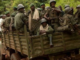 Beni au moins 13 présumés ADF tués par les FARDC