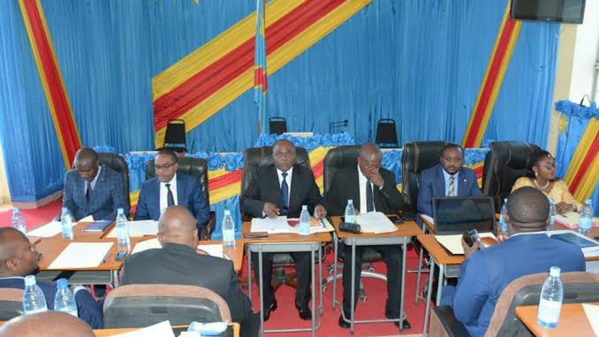 l'Assemblée provinciale sud kivu