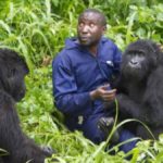 Nord-Kivu - COVID19 le parc national de Virunga suspend temporairement les visites touristiques