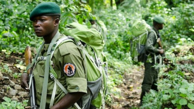 Un écogarde du parc national de Virunga
