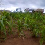 secteur de Matamba Kasai central