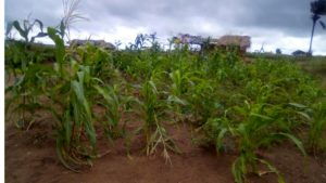 secteur de Matamba Kasai central