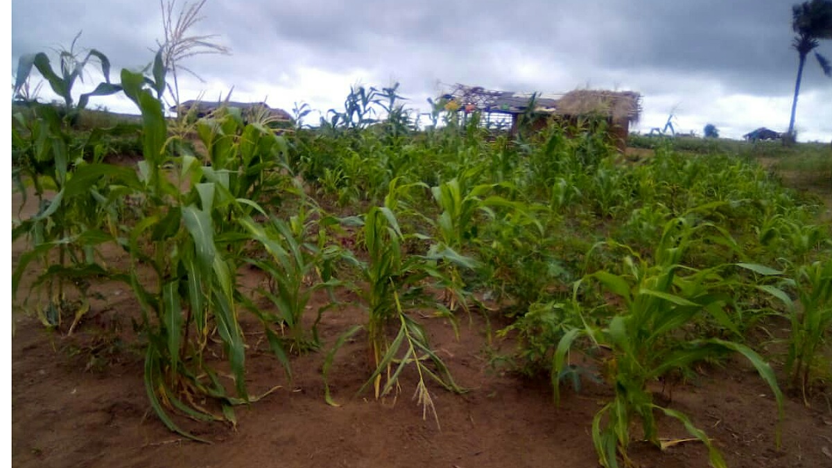 secteur de Matamba Kasai central