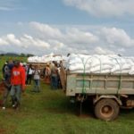 Butembo : 5 922 sacs de riz du PAM incinéré