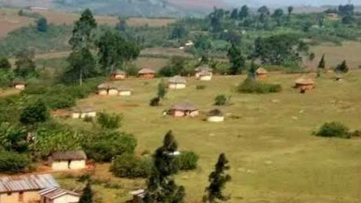 KATOGA à Ruzizi Sud KIVU