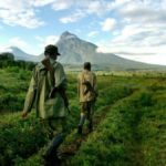 le conflit de délimitation du parc des Virunga à Rutshuru