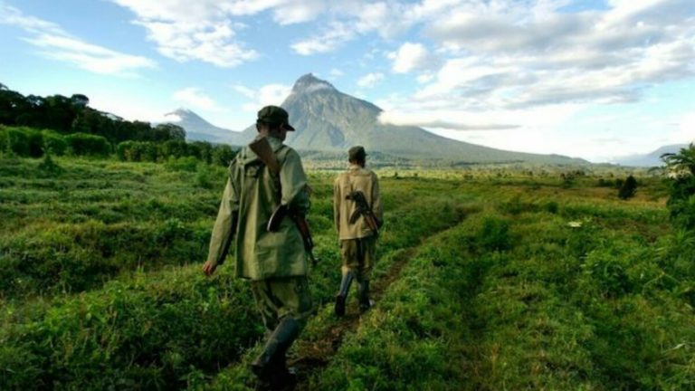 le conflit de délimitation du parc des Virunga à Rutshuru