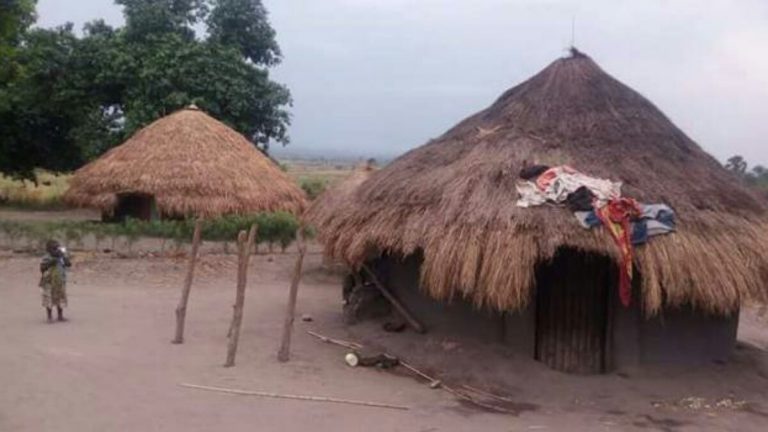 attaque des ADF à Loselose