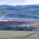 Attaque du Camp des déplacés de Mikenge