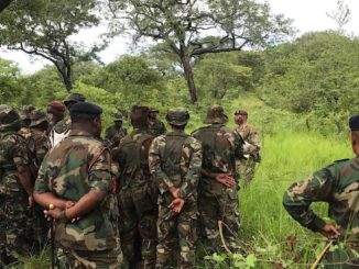Des soldats zambiens occupent les localités Kibanga et Kalubamba de la RDC (image d'illustration)