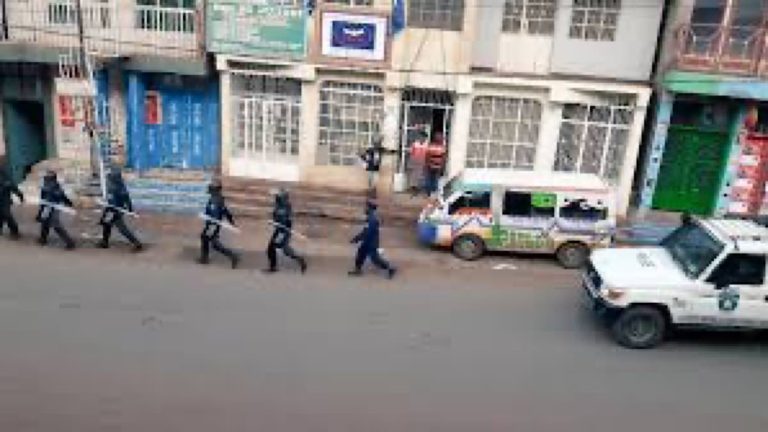 bukavu procès des 100 jours